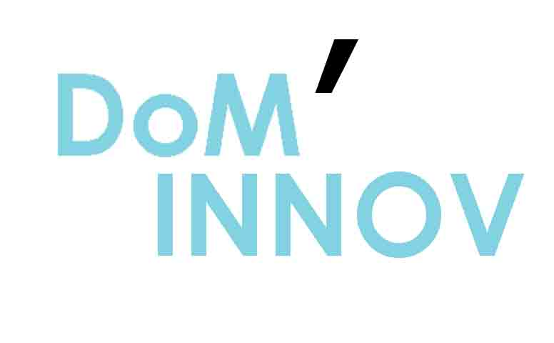 DOM'INNOV